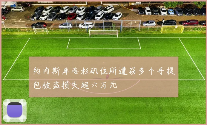 约内斯库洛杉矶住所遭窃多个手提包被盗损失超六万元