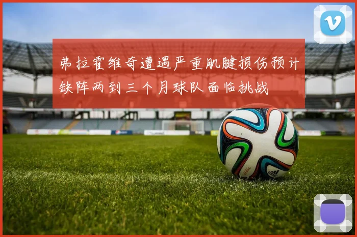 弗拉霍维奇遭遇严重肌腱损伤预计缺阵两到三个月球队面临挑战
